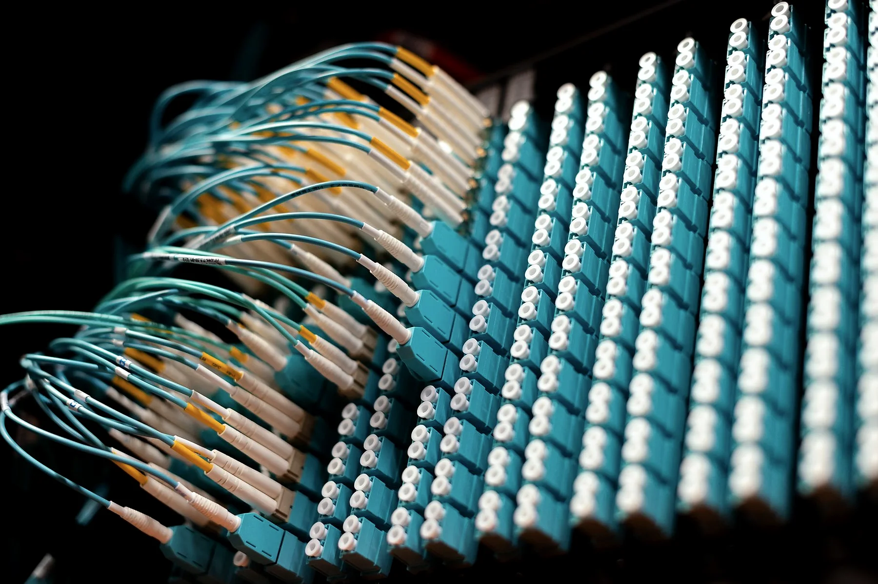 Rows of fibre-optic patch cables plugged into a panel.